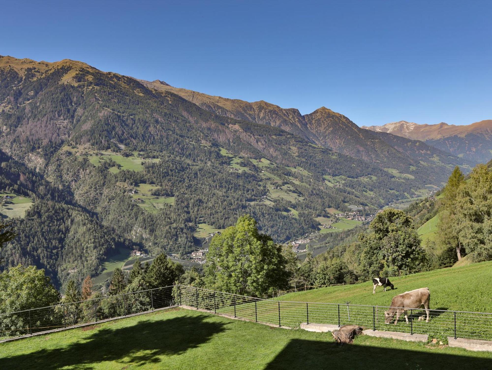 Natur Residence Kaiser Hans Scena Kültér fotó