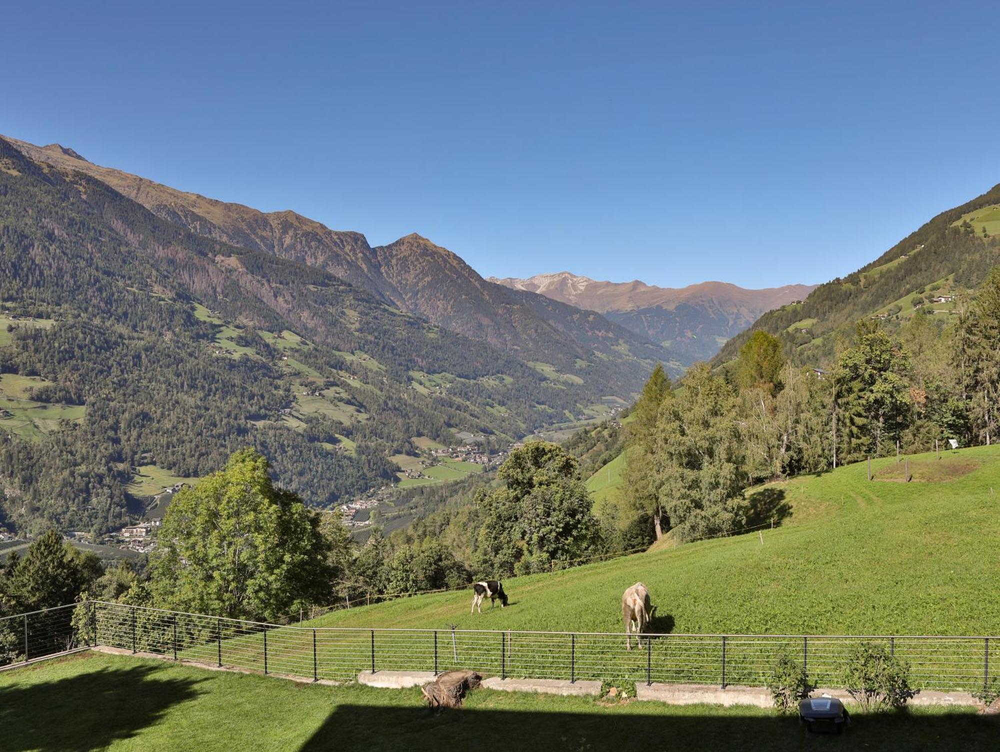 Natur Residence Kaiser Hans Scena Kültér fotó